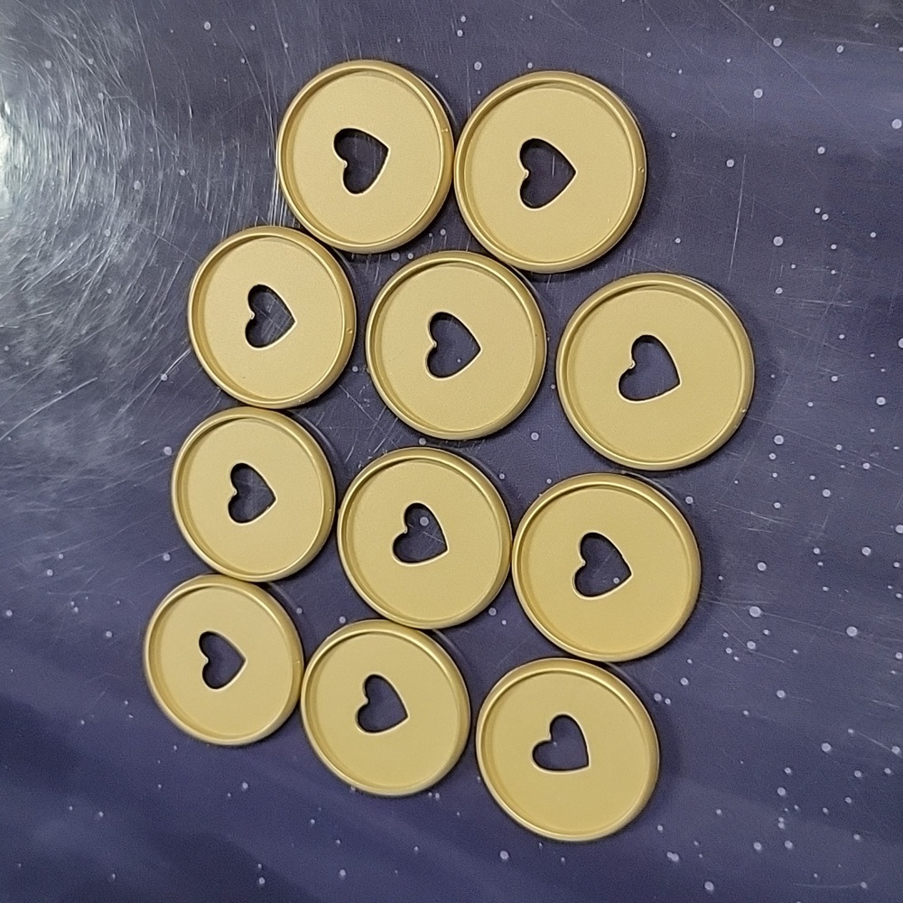 NWOB The Happy Planner (Medium) Gold Discs (11pc set)